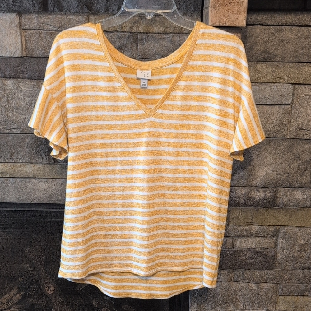 Sunny Striped V-Neck Top